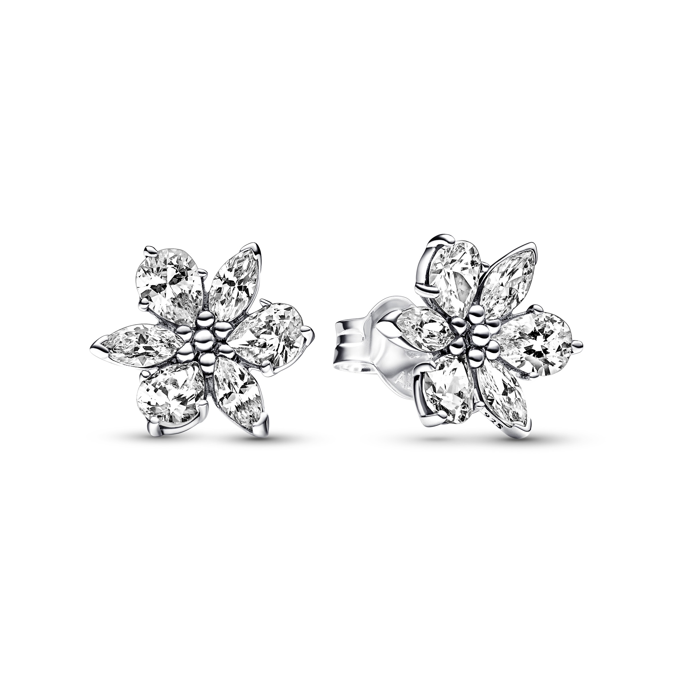 Pandora - Herbarium cluster - 292633C01