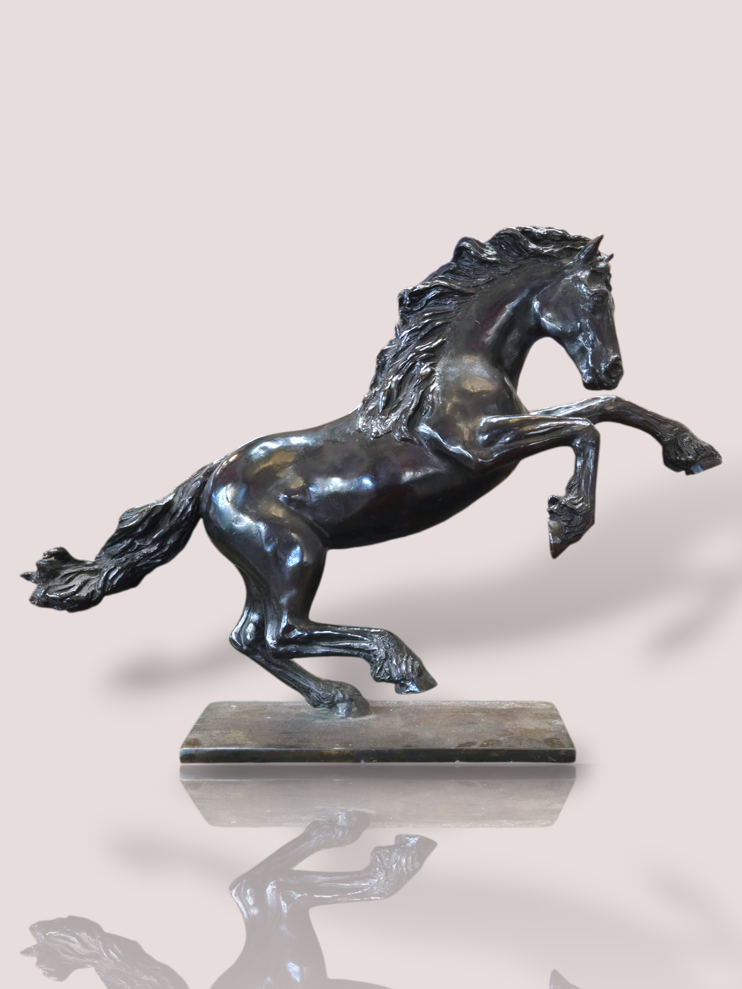 Het product Bronzen beeld Ida van kunstenaarsduo Jean Marianne Bremers is een verfijnd kunstwerk met de beeltenis van een steigerend paard. Dit kunstwerk straalt elegantie, kracht en tijdloze schoonheid uit. Het brons is prachtig diep donker van kleur wat het geheel een nog krachtigere uitstraling geeft. Van dit beeld zijn 6 sculpturen gemaakt, dit sculptuur is nummer 5 van 6. Het beeld is circa 61 cm breed en 43 cm hoog.

Plaats het beeld op een prominente plek in huis, zoals een boekenplank of bij de entree, om een artistieke uitstraling en een vleugje klasse toe te voegen aan uw interieur.