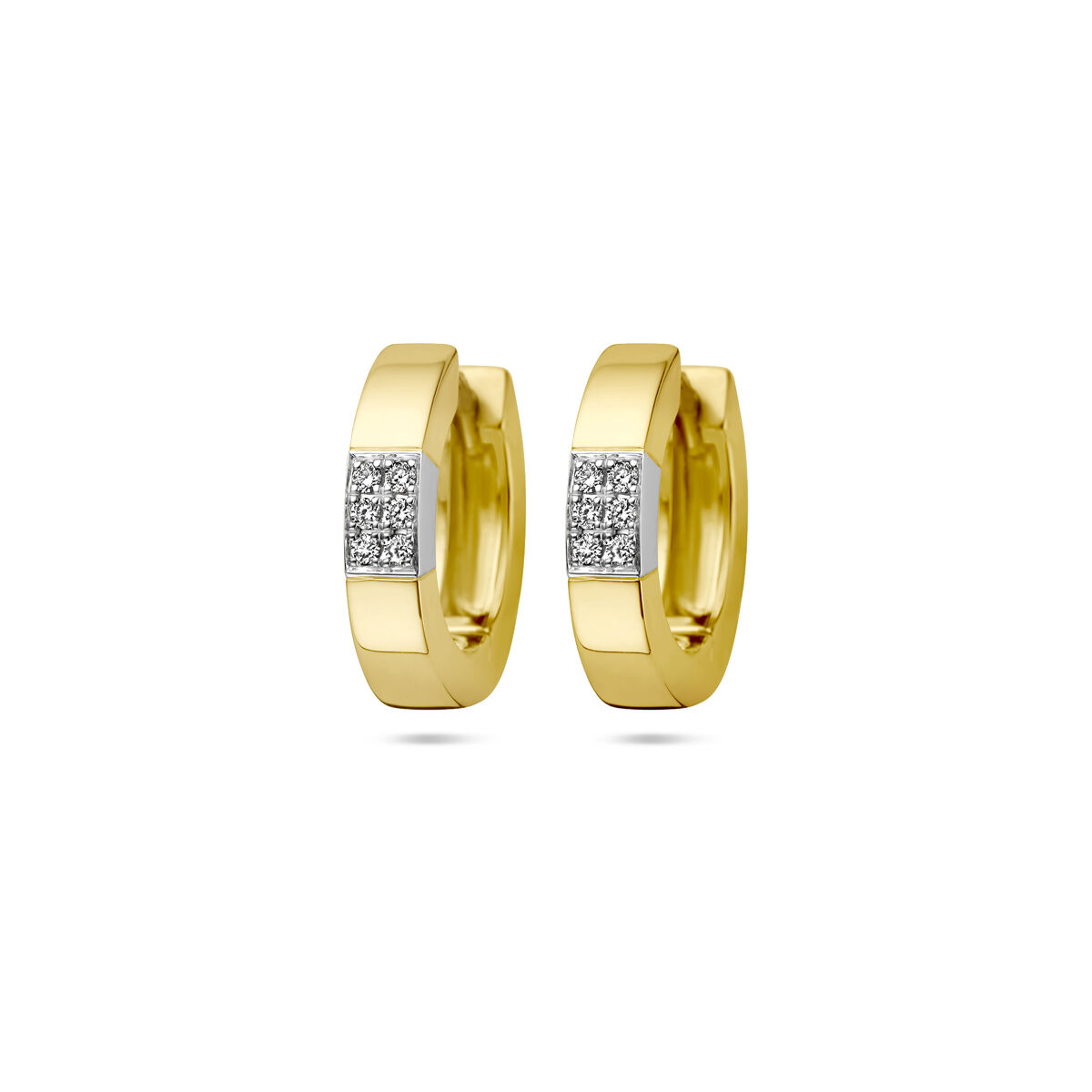 Bicolor oorringen 0.07ct 4208984