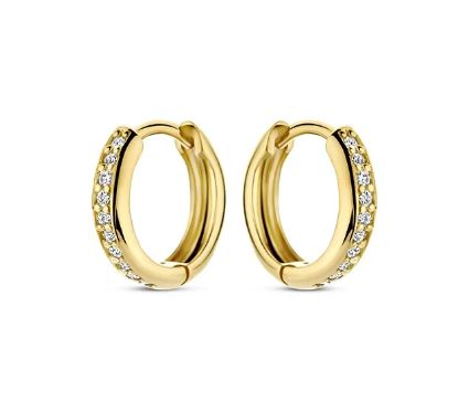 14kt gouden oorringen met diamanten