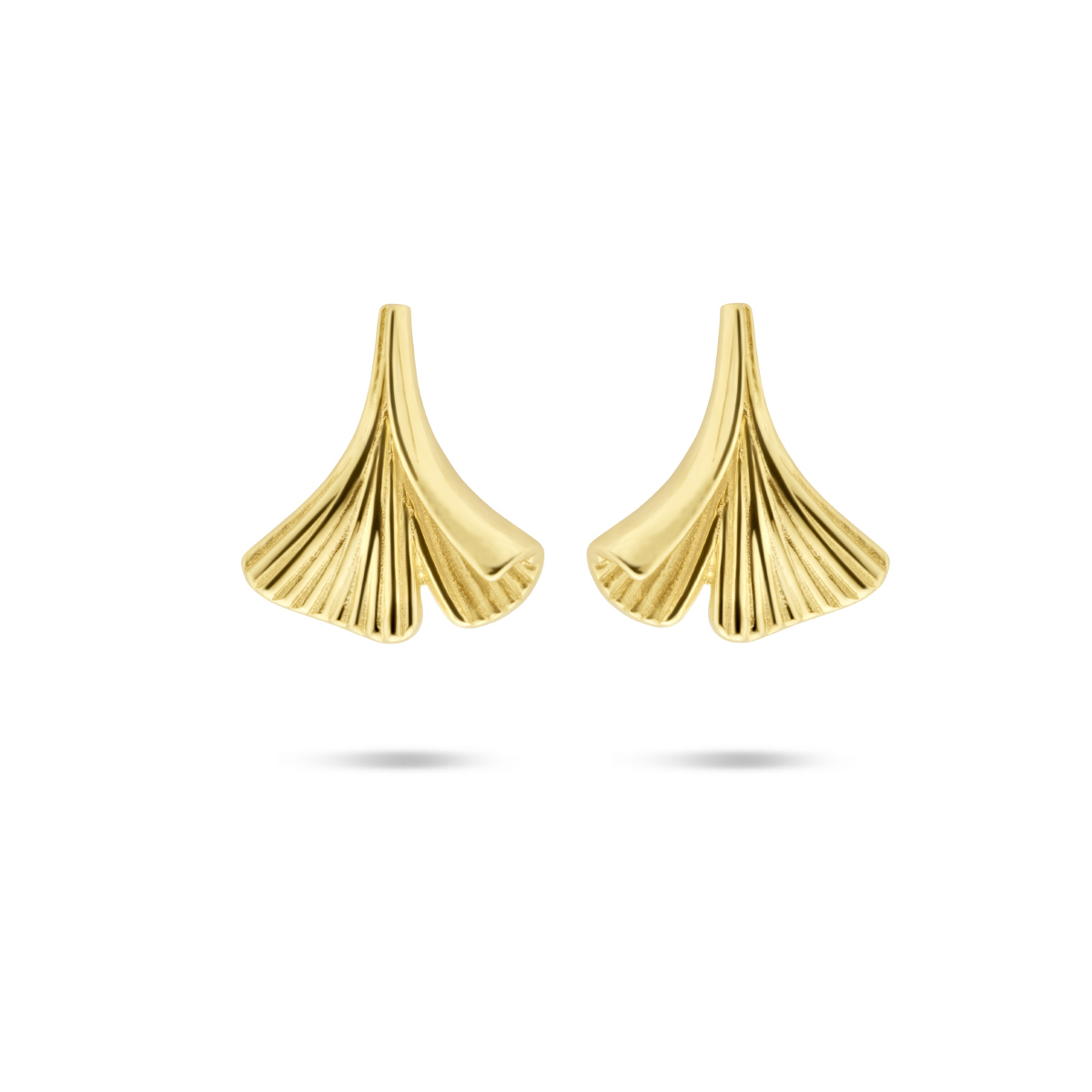 14k Geelgouden oorknoppen in de vorm van een ginkgo blad met een afmeting van 7.5x7mm.