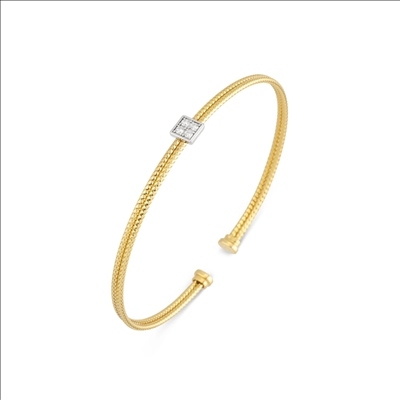 NOIBILE 

BRACELET 18KT GOLD
Gold 2.40 Gr
DM 0.04 Kt
steel 1.00 Kt