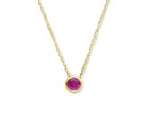 De Collier geboortesteen July robijn met modelnummer SWBN01JULY is een prachtige halsketting met een robijn, de geboortesteen van juli. Deze stijlvolle ketting is perfect voor elke gelegenheid en voegt een elegante touch toe aan je outfit. Draag het solo voor een subtiele look of combineer met andere sieraden voor extra flair. Perfect voor elke sieradenliefhebber!