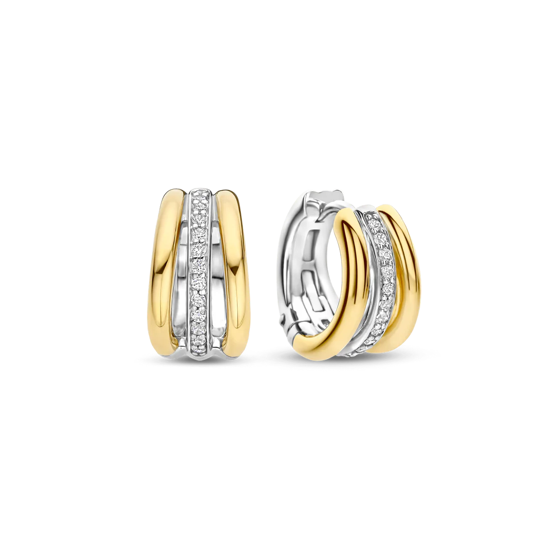 Zilver Vergulde Oorringen