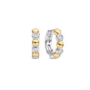 Zilver Vergulde Oorringen