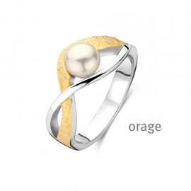 Ring in bi-color verguld 
