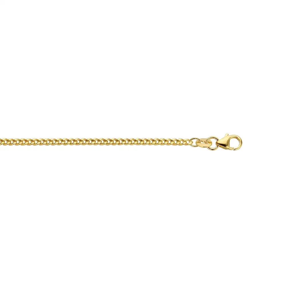 14-karaats geelgouden collier in gourmetschakel. Het collier is voorzien van een zilverkern.
Breedte: 1.6 mm. Lengte: 45 cm.