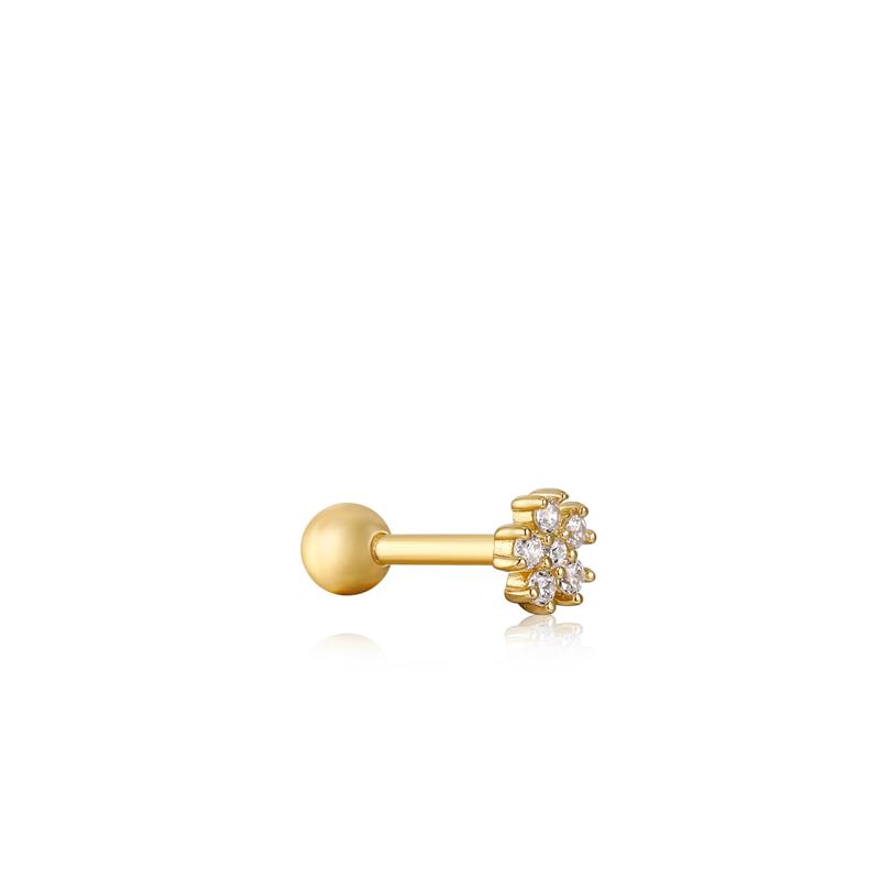 Goldplated Piercing 