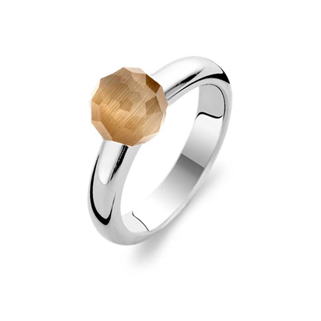 De Ti Sento ring, modelnummer 1591CC/54, is een schitterend sieraad dat jouw hand elegantie geeft. Met een verfijnde afwerking en een tijdloos design is het een perfecte keuze voor elke gelegenheid. Draag deze ring solo voor een subtiele look of combineer met andere sieraden voor een opvallend statement. Voeg stijl toe aan jouw collectie met deze prachtige ring.