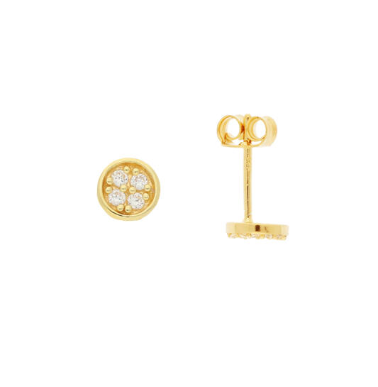 Zilver Vergulde Oorstekers met Zirkonia