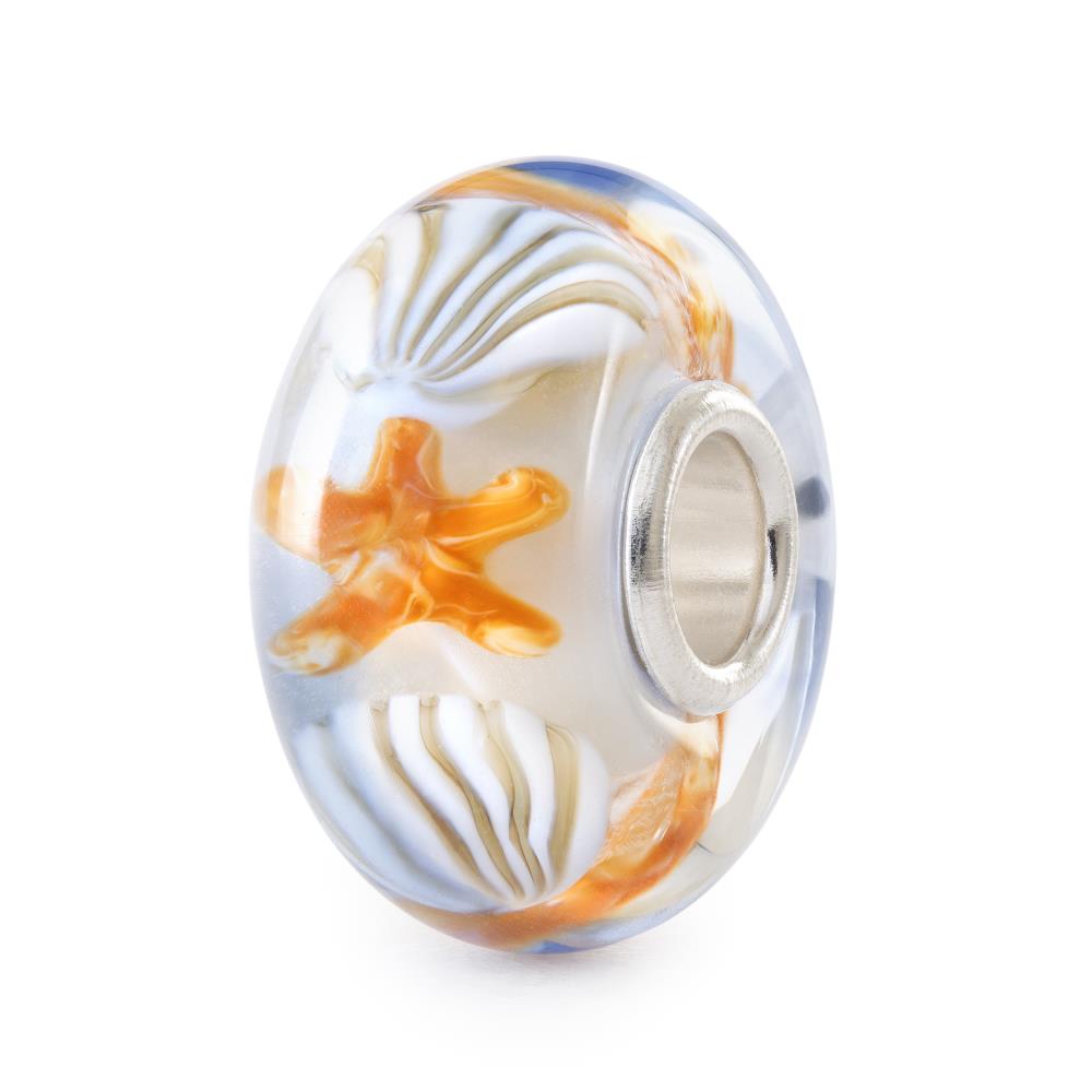 Een duo van de zee, dat harmonie, vernieuwing en innerlijk licht weerspiegelt.