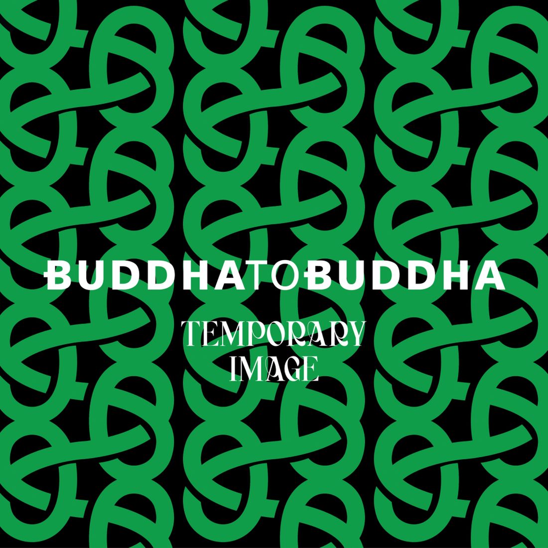 Een mooie set van de Ben serie. De ene dag een zilveren armband. De andere dag een leren armband. Een leuke combi. BUDDHA TO BUDDHA Ben Customized Set ZILVER & LEDER ZWART