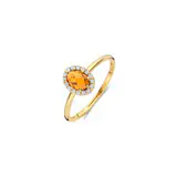 BLUSH GEELGOUDEN RING 1271YCI/54