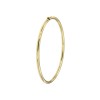 VIJ0393 Slavenarmband hol rond model
14 karaat geelgoud
Doorsnede: 3 mm
Armbandmaat: 63 x 55 mm
Sluiting: scharnierende band met bakslot
Gewicht: ca. 7.60 gram