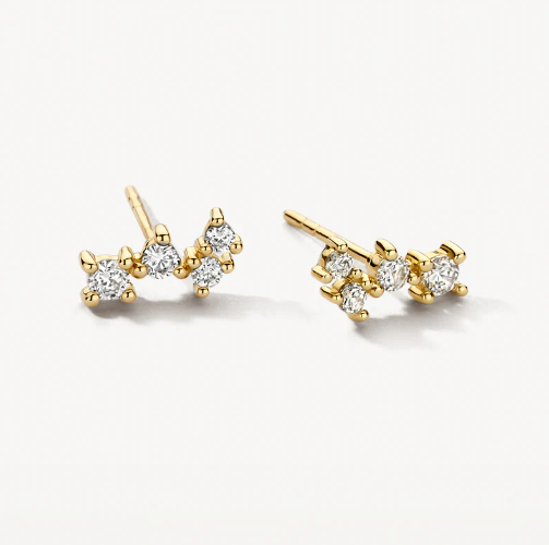 14k gouden oorbellen met zirkonia