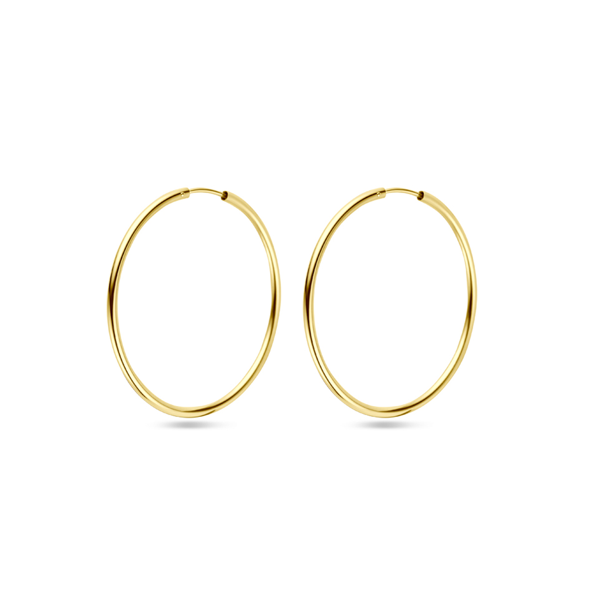 14k Geelgouden oorringen met een ronde buis en een scharnier-sluiting.

dikte (mm) 1.8
diameter (mm) 40