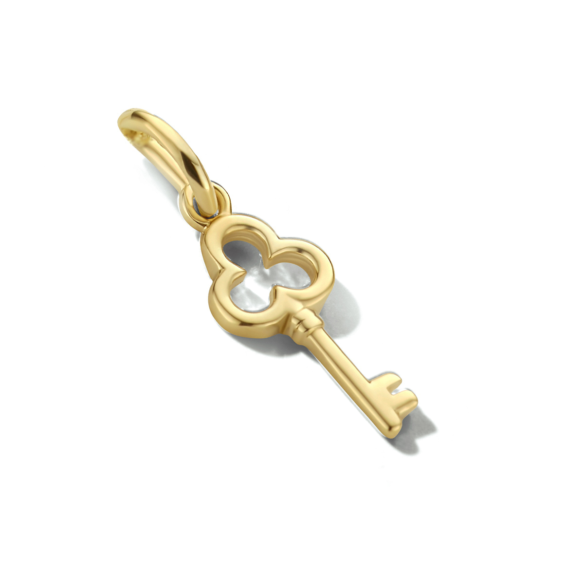 14k Geelgouden hanger in de vorm van een sleutel. De hanger heeft een totale hoogte van 21mm.
