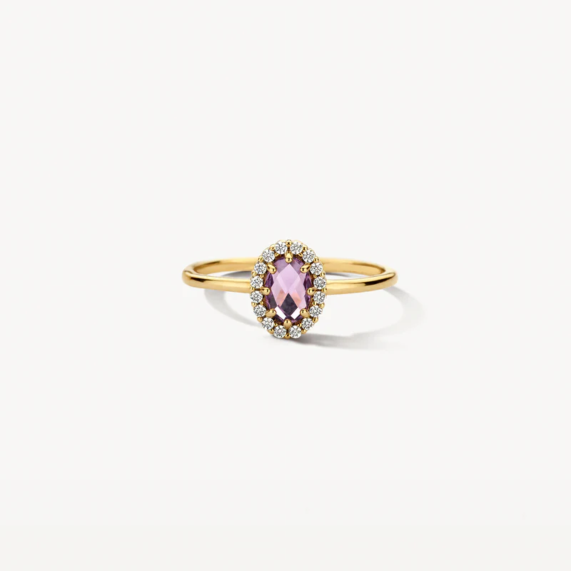 

Type goud: 14k Geel goud
Type zetting: Pavé-zetting
Type steen: Amethyst , Zirkonia
Steenkleur: Paars
Grootte detail/applique: 6.8 mm, 8.7 mm
Diameter: ø 1.3 mm