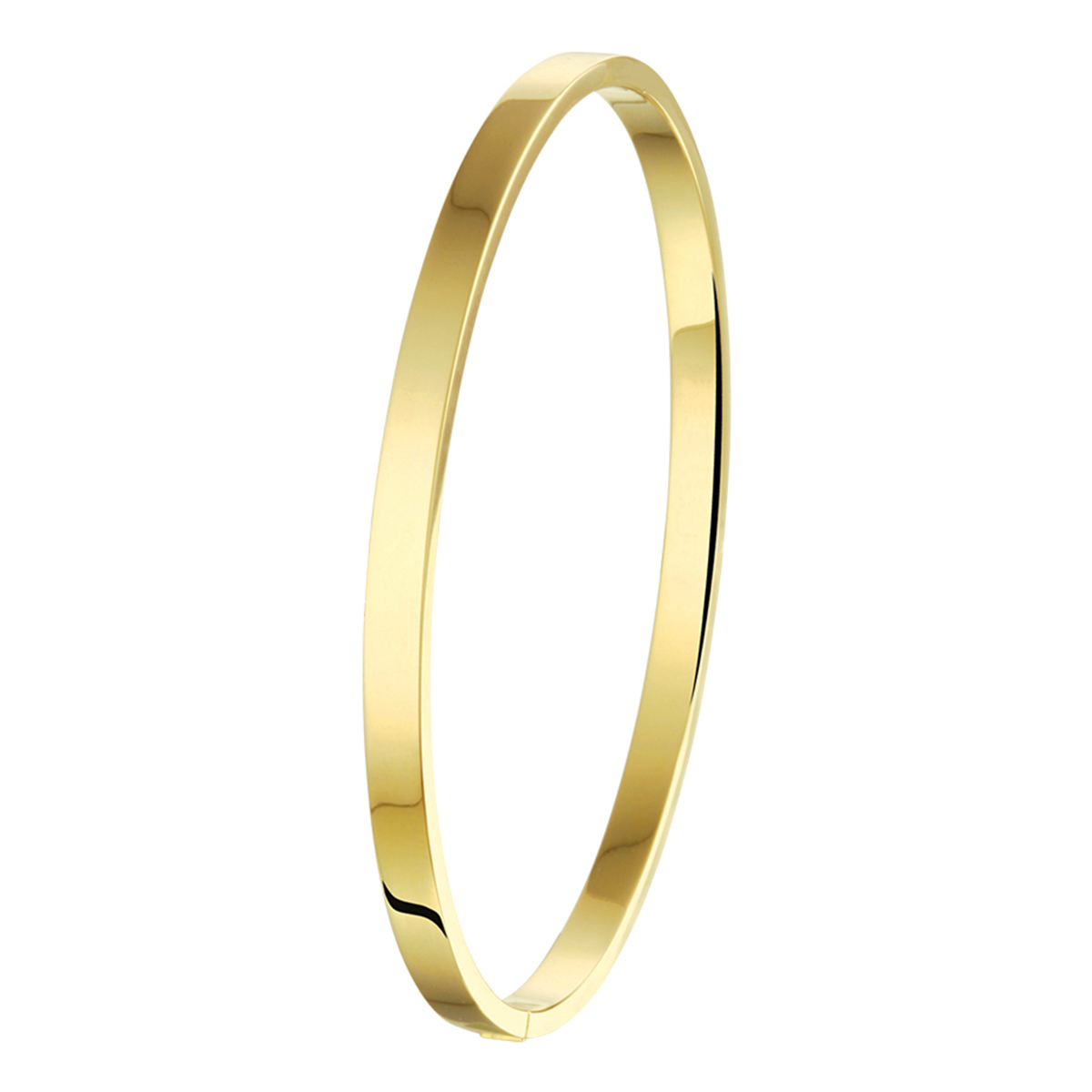 gouden slavenarmband met zilveren kern,  vlak 4x61mm