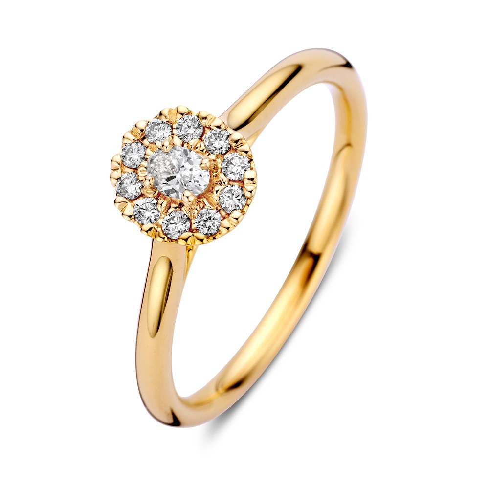 Stijlvolle entouragen ring met een ovaal geslepen diamant als echte eyecatcher. De ring is solo prachtig, maar kan ook goed gecombineerd worden met andere ringen dankzij de elegante, verhoogde zetting.

