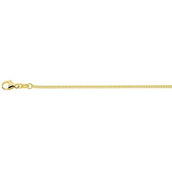 De 14 karaat gourmet ketting van 41 cm uit de Van Zaanen Goud Collectie is een elegante en tijdloze accessoire. Deze ketting straalt verfijning uit en kan zowel solo gedragen worden voor een minimalistische look als in combinatie met hangers voor een persoonlijk tintje. Perfect voor dagelijkse elegantie of speciale gelegenheden. Een veelzijdige toevoeging aan elke sieradencollectie.