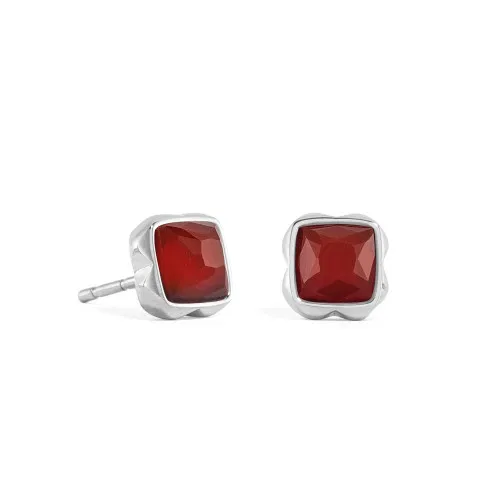 Dit zijn oorknopjes van het merk Coeur de Lion gemaakt voor dames.
Red agate (january)