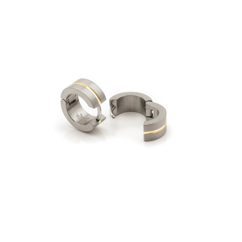 Dit zijn oorsieraden van het merk Boccia Titanium