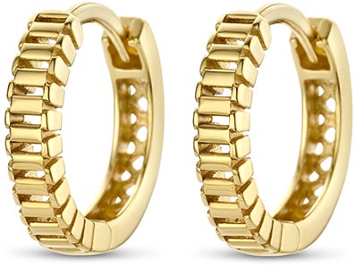 Dit zijn oorbellen van het merk Swing Jewels gemaakt voor dames.
De specificaties zijn als volgt:
Ringmaat: -