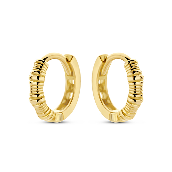 Dit zijn oorbellen van het merk Swing Jewels gemaakt voor dames.