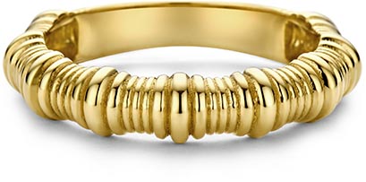 Dit is een ring van het merk Swing Jewels gemaakt voor dames.
De specificaties zijn als volgt:
Ringmaat: 58