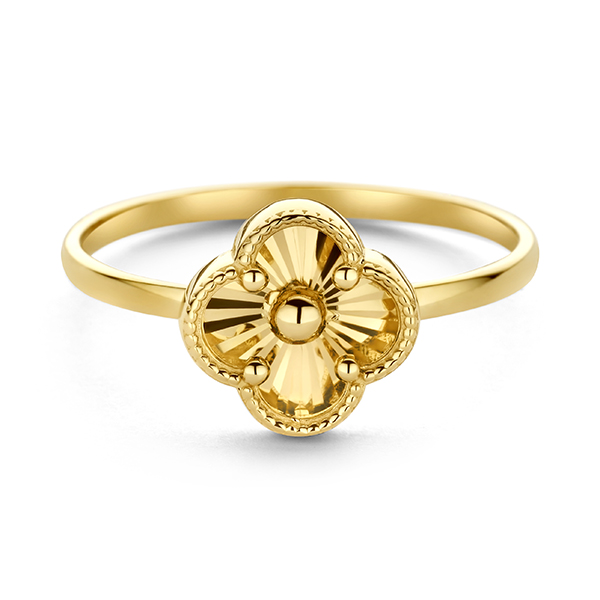 Dit is een ring van het merk Swing Jewels gemaakt voor dames.
De specificaties zijn als volgt:
Sieraaddikte in mm: 3
Ringmaat: 56