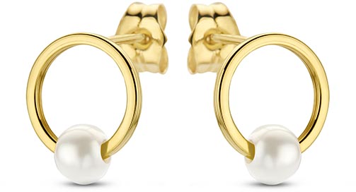 Dit zijn oorbellen van het merk Swing Jewels gemaakt voor dames.