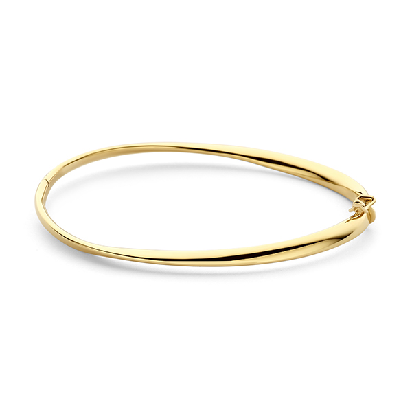 Dit is een bangle van het merk Swing Jewels gemaakt voor dames.