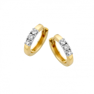 Bicolor gouden oorringen met scharnier met 6x0.03ct. diamant H/Si