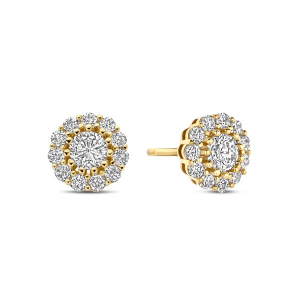 De 925 Silver Lina Stud Earrings zijn verfijnde en gedetailleerde oorbellen, versierd met sprankelende zirconia steentjes. Het subtiele ontwerp geeft een elegante en chique uitstraling, perfect voor een alledaagse look of een speciale gelegenheid.