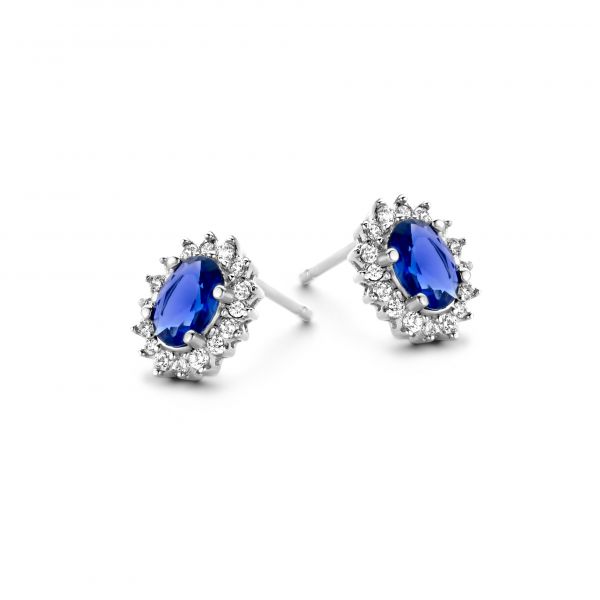 Schitterende zilveren zirkonia oorknopjes met entourage zetting van het merk New Bling. Past bij iedere look. Perfect te mixen en matchen met de andere schitterende sieraden van new Bling.