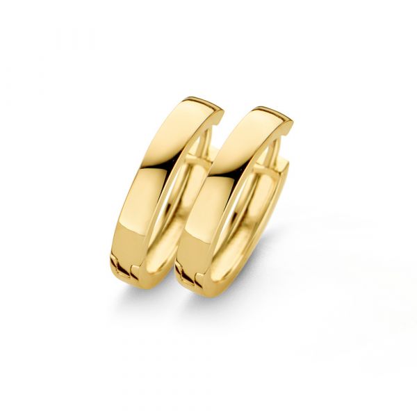 New Bling 9NB-0204 Zilveren oorringen - grootte 17x3 mm - goudkleurig