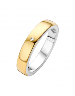 De Fjory ring, modelnummer 41-R101755-0.01, combineert goud en zilver voor een elegante uitstraling. Met een maat van 17,5 (55), is deze goudkleurige ring perfect als subtiele eyecatcher of aanvulling op andere sieraden. Draag het solo voor verfijnde elegantie of combineer met andere ringen voor een modieuze gelaagde look. Ideaal voor dagelijkse glamour.