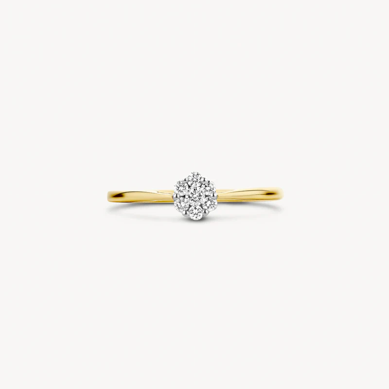 Deze elegante geel- en witgouden ring van 14k sprankelt met een briljant geslepen diamant. De band heeft een doorsnee van 1,5 mm en de diamant een karaatgewicht van 0,20 crt. Prachtig om op zichzelf te dragen .


