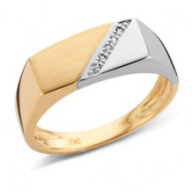 Care herenring is een elegante gouden ring van 18 karaat uit onze juwelencollectie met briljanten steentjes. Deze prachtige ring, gemaakt van hoogwaardig goud, voegt een vleugje verfijning toe aan elke look. Draag deze ring als dagelijks accessoire of voor speciale gelegenheden om een stijlvolle uitstraling te completeren. Perfect als statementstuk of in combinatie met andere juwelen.