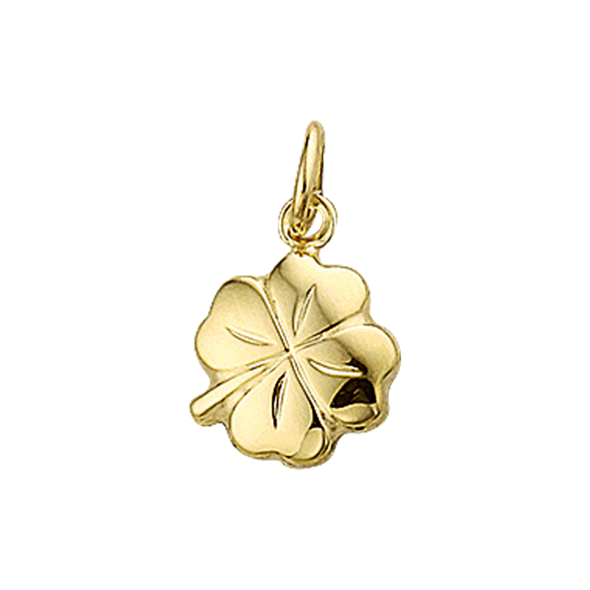 Geelgouden hanger met een klavertje.

Doelgroep: unisex
Breedte: 10 mm
Hoogte: 13 mm