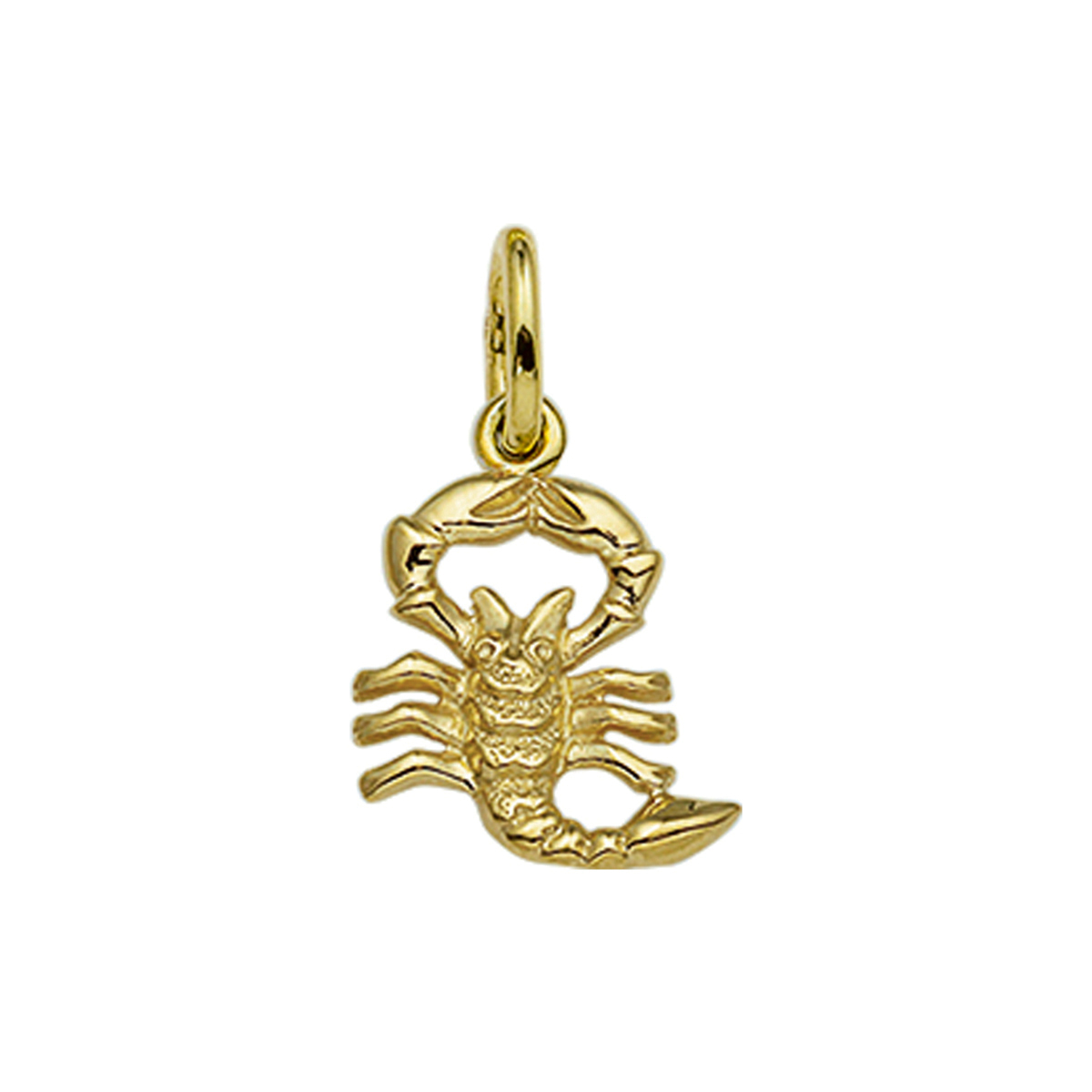 hanger sterrenbeeld 14K geelgoud