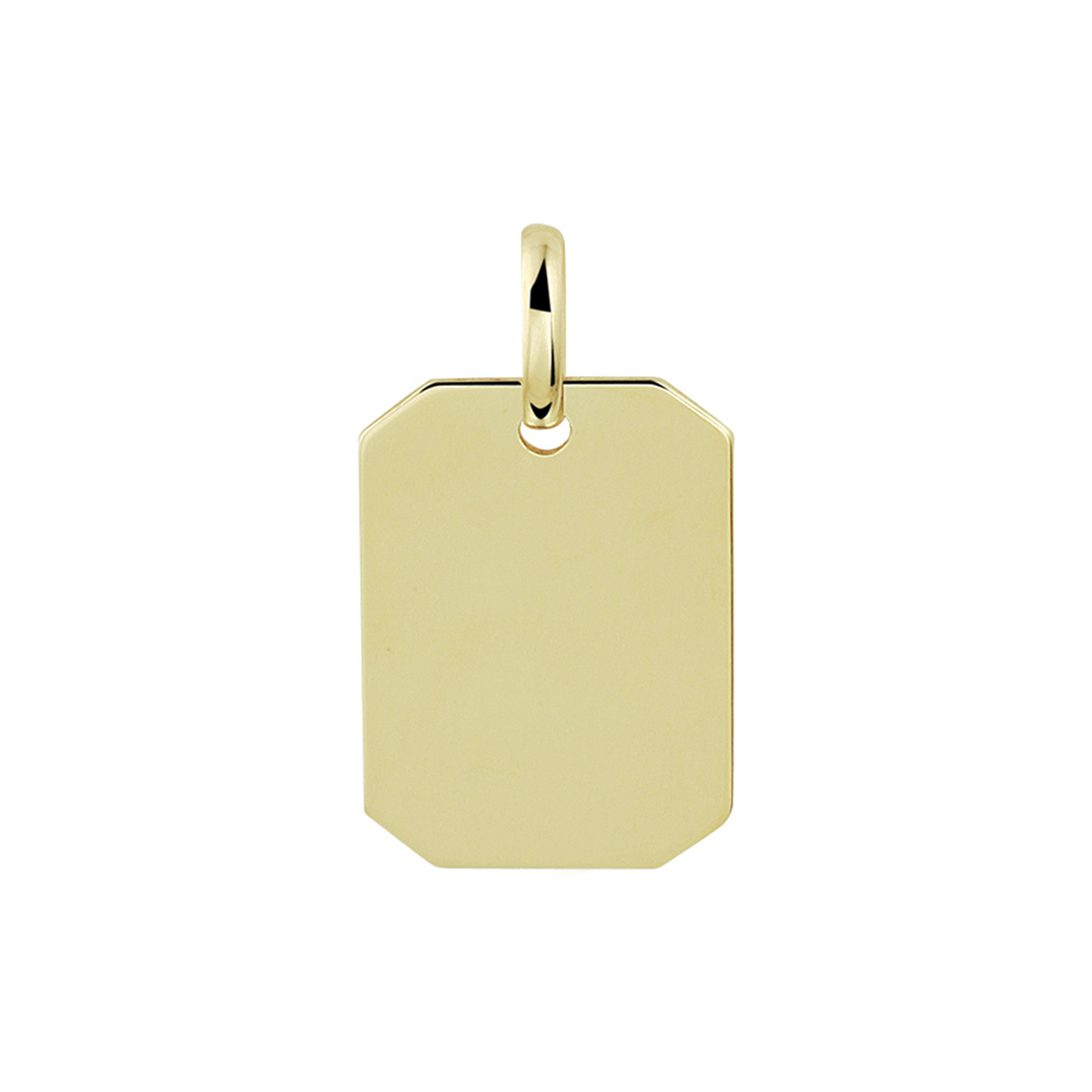 14k Geelgouden graveerhanger met een afmeting van 16x11mm. De hanger heeft een totale hoogte van 20mm en een dikte van 0.5mm.