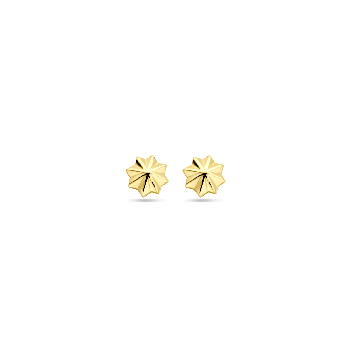 14k Geelgouden oorknoppen met een diameter van 5.5mm.