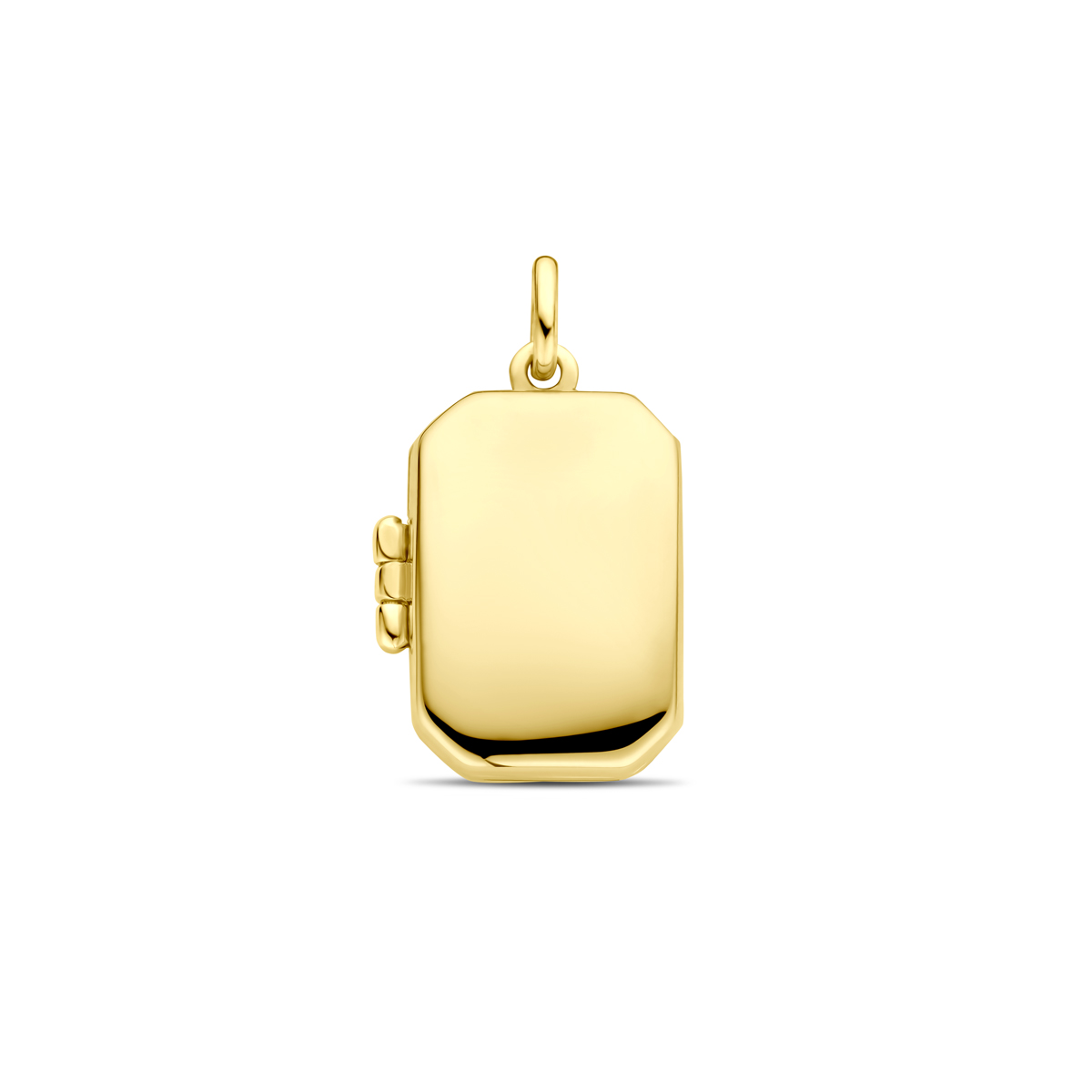 14k Geelgouden medaillon. Het medaillon heeft een totale hoogte van 21mm en een afmeting van 18.5x13mm