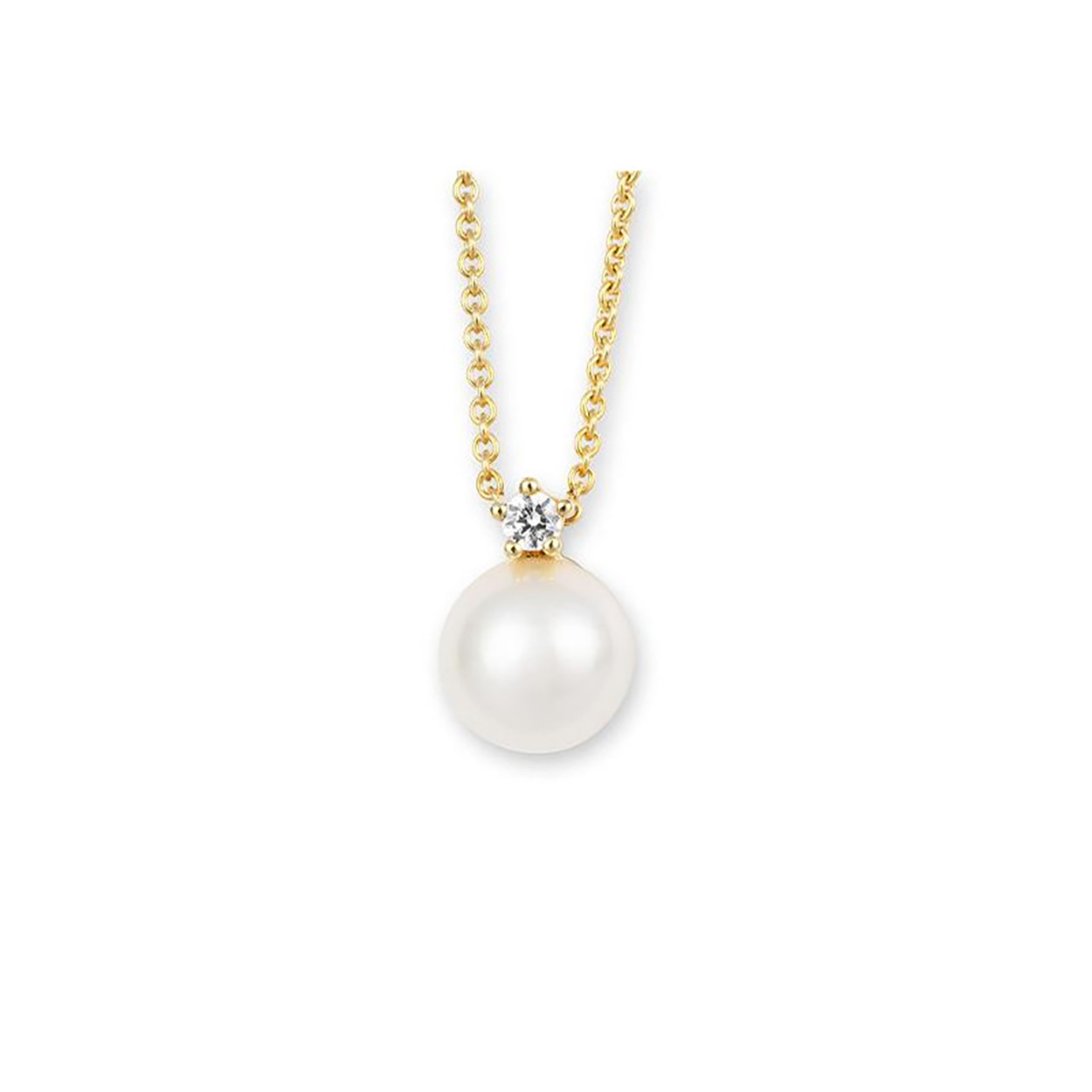 Deze hanger is exclusief collier.