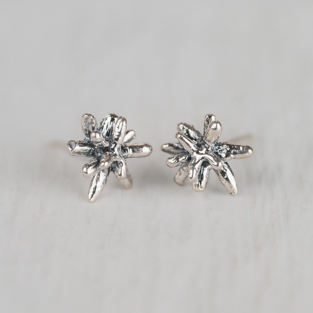 Oorknop gemaakt van 925 sterling zilver en geoxideerd zilver. In de oorknop kan je een sterretje zien, een bloemetje en misschien nog wel meer. Daarom hebben wij hem de naam "firework" gegeven.