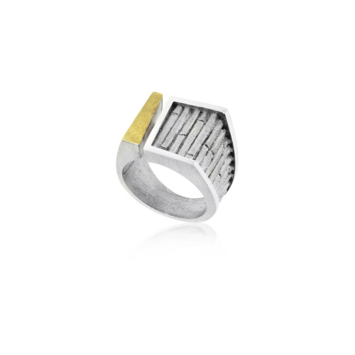 R1880 Audar ring zilver met goud