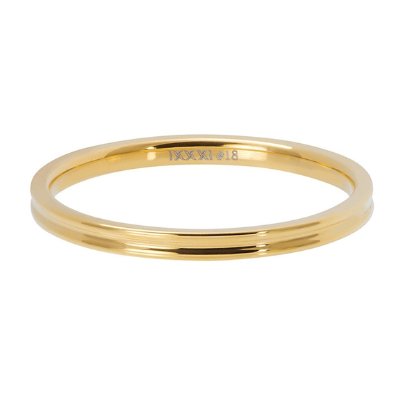 vulring van Ixxxi
Smal ribbed
maat 19 
let op! voor deze ring heb je een basisring nodig van IxxxI