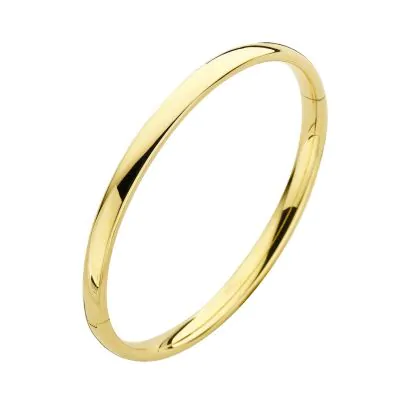 Een 14 kt. geelgouden slavenarmband/bangle vervaardigd uit een ovale gouden buis met zilveren kern. De armband uit de collectie van het Nederlandse merk Fjory is hoogglans afgewerkt. Uitgevoerd met een scharnier en bakslot.

De sieraden van het Nederlandse merk Fjory getuigen van authentiek vakmanschap en kwaliteit. Kenmerkend voor Fjory is dat de sieraden worden vervaardigd met 14 karaats goud en een zilveren kern.

Afmetingen: diameter: 61 mm., breedte: 6 mm.